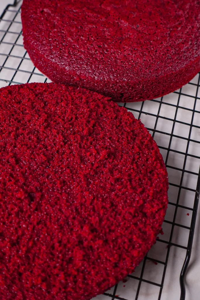 Massa red velvet